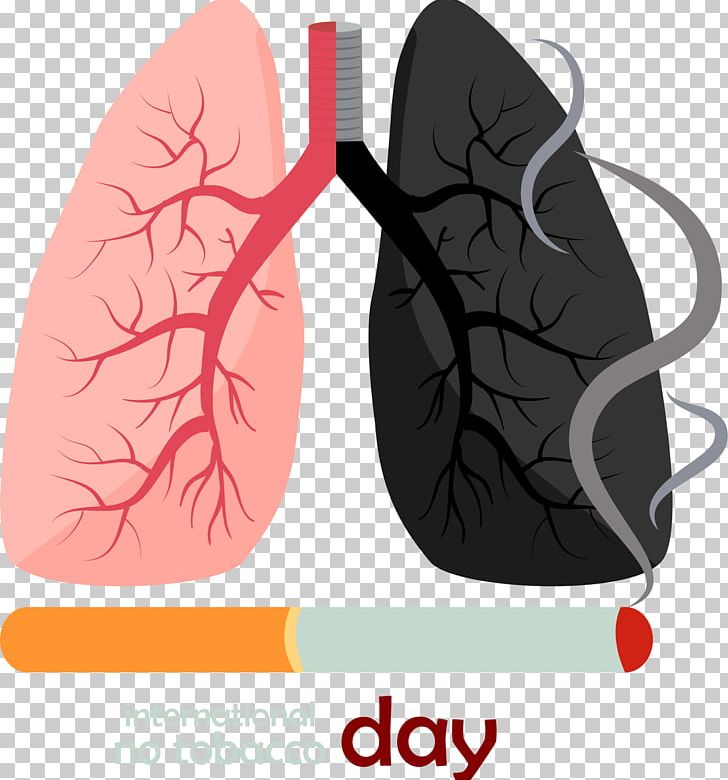 Smoking Lung Euclidean Cigarette PNG, Clipart, Black Lungs, Cigarette ...