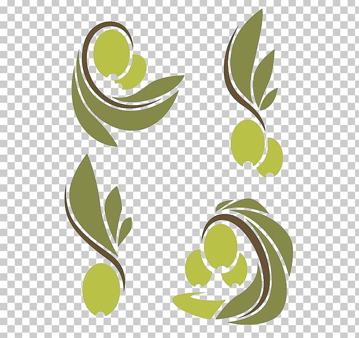 Olive Oil Olive Branch Olive Leaf PNG, Clipart, Adobe Illustrator, Auglis, Circle, Decorative, Decorative Shading Free PNG Download