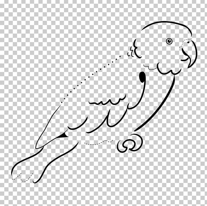 Art Black And White Parrot Drawing PNG, Clipart, Animals, Are, Bird, Black, Carnivoran Free PNG Download
