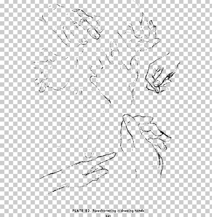 Drawing The Head And Hands Art Sketch PNG, Clipart, Andrew Loomis, Angle, Area, Art, Art School Free PNG Download