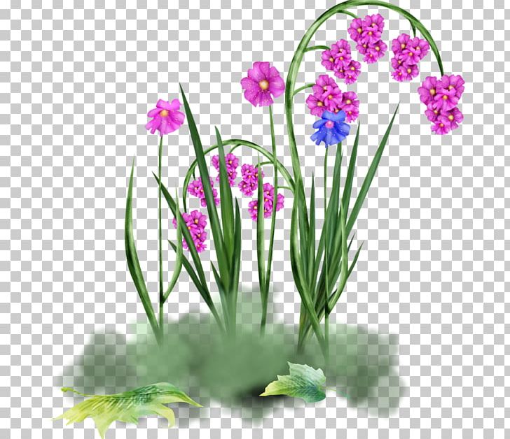 Floral Design Flower Orchids PNG, Clipart, Drawing, Flora, Floral Design, Floristry, Flower Free PNG Download