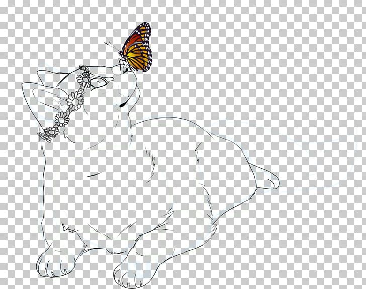 Whiskers Cat Line Art Sketch PNG, Clipart, Animals, Art, Artwork, Black And White, Carnivoran Free PNG Download