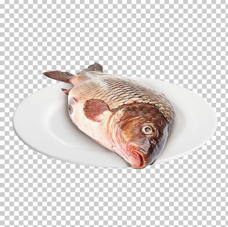 Fish Products Oily Fish PNG, Clipart, Animals, Animal Source Foods, Fish, Fish Products, Oily Fish Free PNG Download