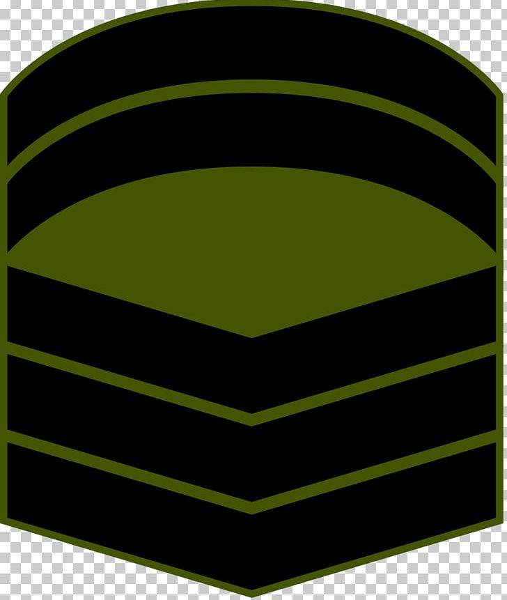 Maldives National Defence Force Military Ranks Of Maldives Army PNG, Clipart, Angle, Army, Circle, Flag Of The Maldives, Grass Free PNG Download