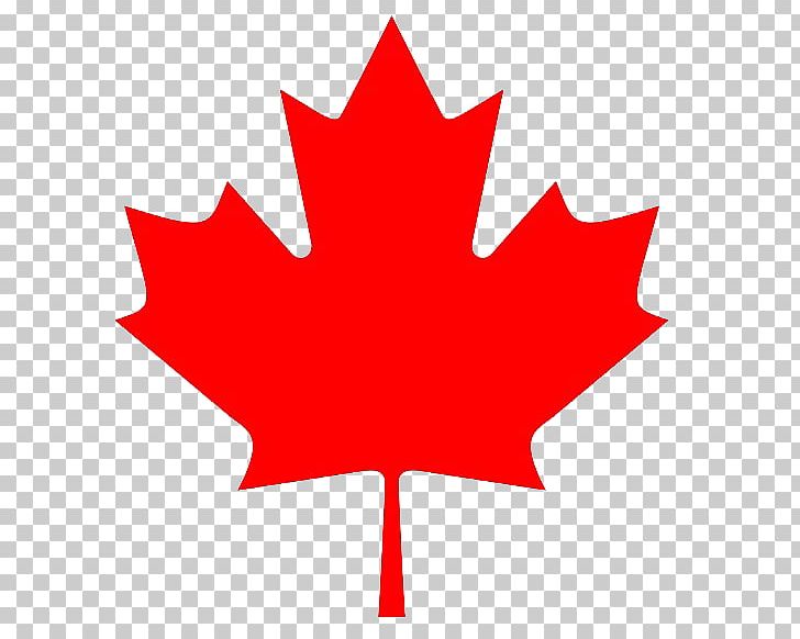 Maple Leaf Canada PNG, Clipart, Canada, Flag Of Canada, Flower, Flowering Plant, Leaf Free PNG Download