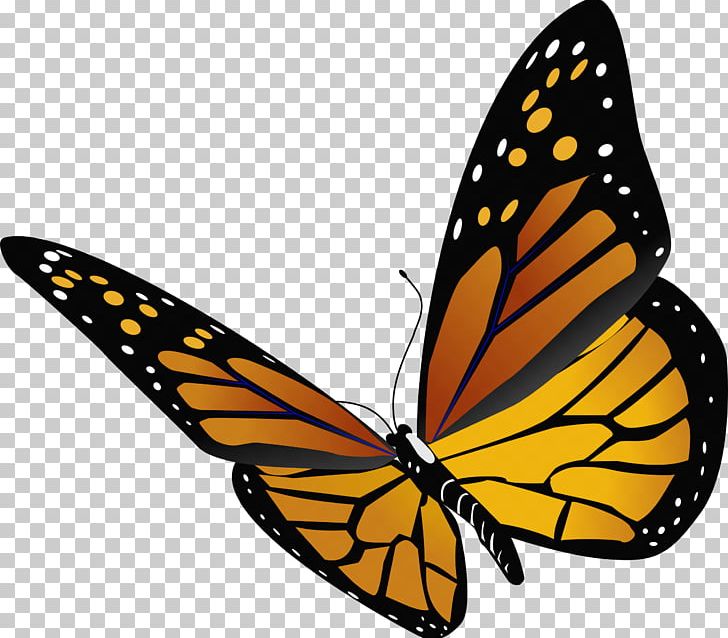 Monarch Butterfly Insect PNG, Clipart, Arthropod, Brush Footed Butterfly, Butterfly, Clip Art, Computer Icons Free PNG Download