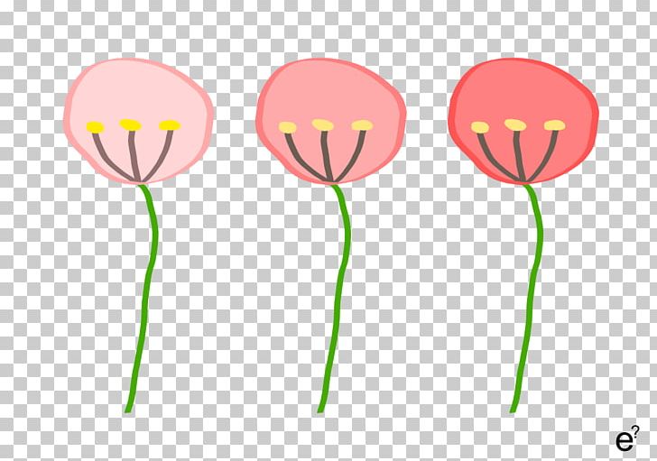 Pink M Balloon Flowering Plant Plant Stem PNG, Clipart, Balloon, Color Board, Flower, Flowering Plant, Petal Free PNG Download