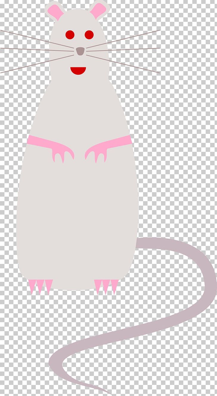 Rat Mouse Whiskers PNG, Clipart, Animals, Carnivoran, Cartoon, Cat, Cat Like Mammal Free PNG Download