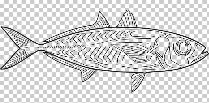 Line Art Drawing Sardine Coloring Book PNG, Clipart, Angle, Artwork, Black And White, Coloring Book, Computer Icons Free PNG Download
