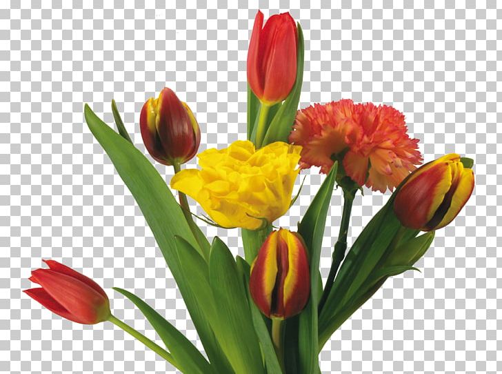 Flower Bouquet Tulip PNG, Clipart, Artificial Flower, Beautiful, Beautiful Flowers, Dianthus, Encapsulated Postscript Free PNG Download