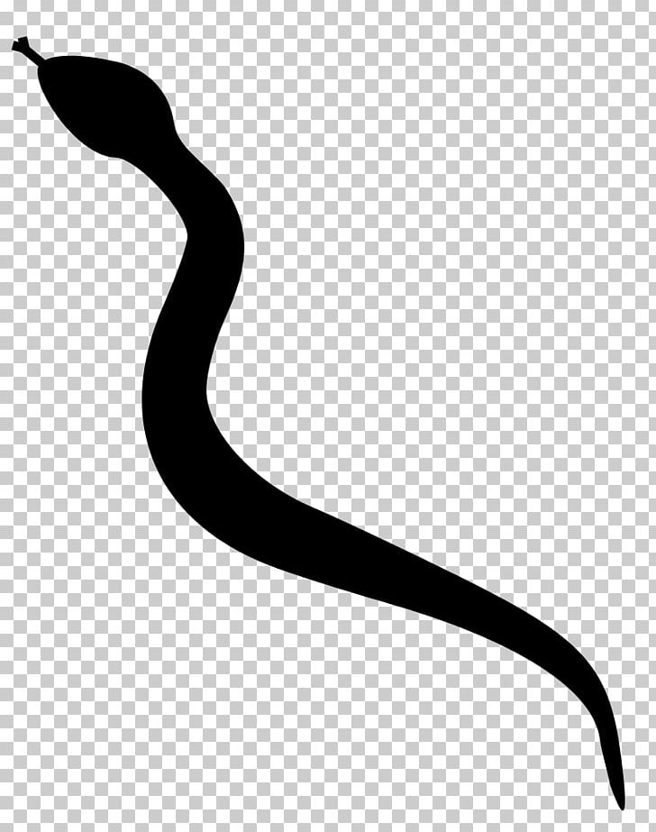 Snake Silhouette PNG, Clipart, Animals, Artwork, Black, Black And White, Cape File Snake Free PNG Download