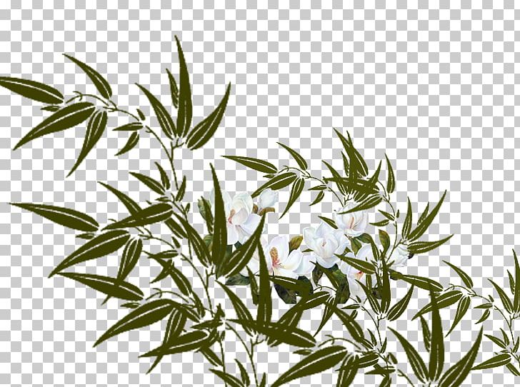 Bamboo Bamboe Flower PNG, Clipart, Bamboo, Bamboo Blossom, Branch, Chinese Style, Flower Free PNG Download