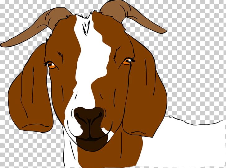 Boer Goat Anglo-Nubian Goat Drawing PNG, Clipart, Anglonubian Goat, Art, Carnivoran, Cattle Like Mammal, Dairy Free PNG Download