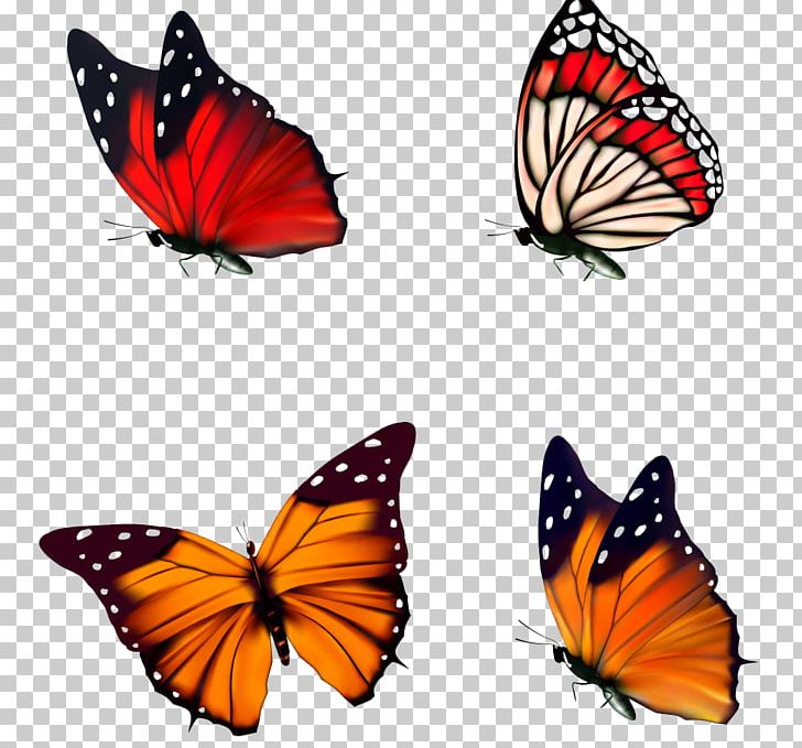 Butterfly PNG, Clipart, Adobe Illustrator, Art, Brush Footed Butterfly, Butterflies, Butterfly Group Free PNG Download