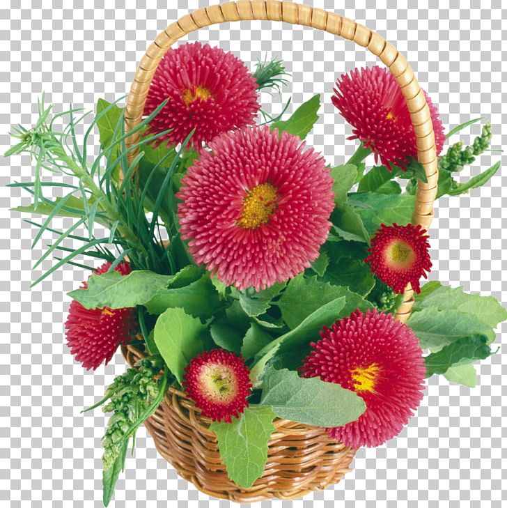 Desktop Collage Photomontage PNG, Clipart, 1080p, Annual Plant, Aster, Birthday, Christmas Card Free PNG Download