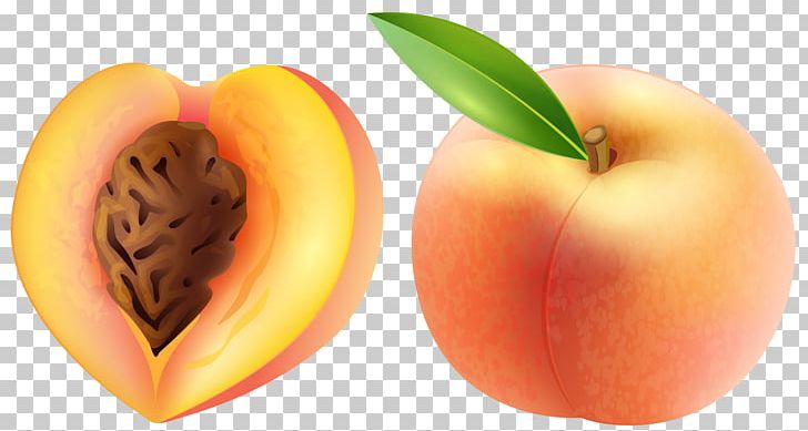 Peach Fruit PNG, Clipart, Apple, Apricot, Clipart, Clip Art, Computer Icons Free PNG Download