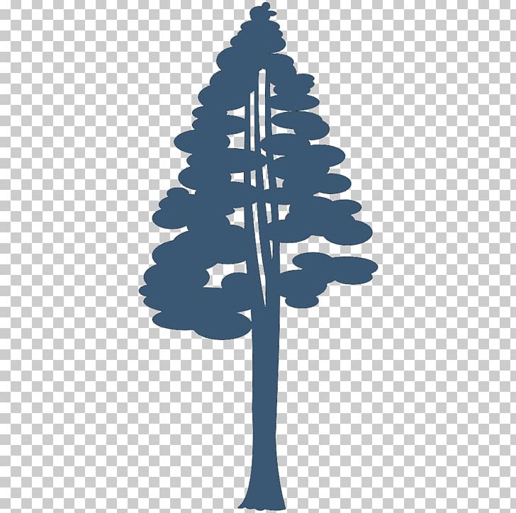 Coast Redwood Giant Sequoia Drawing Silhouette PNG, Clipart, Animals, Art Department, Bighorn, Clip Art, Coast Redwood Free PNG Download