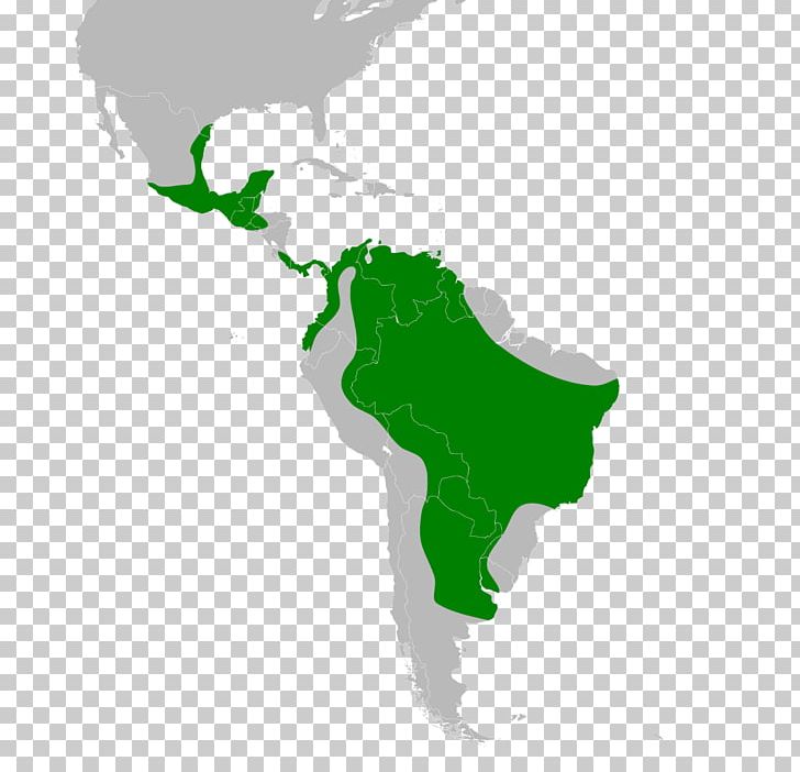 South America United States Latin America PNG, Clipart, Americas, Computer Wallpaper, Grass, Green, Hand Free PNG Download