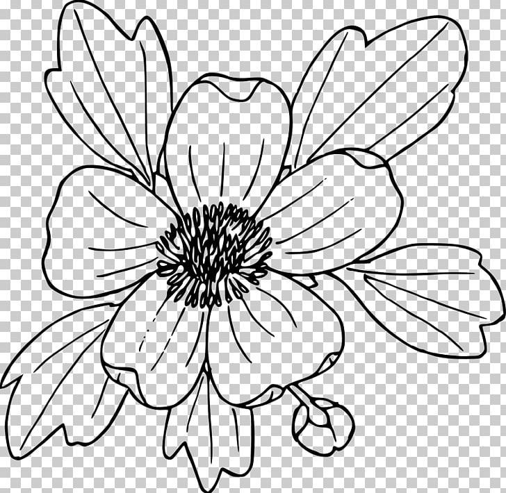 Coloring Book Drawing Ranunculus Glaberrimus Poppy PNG, Clipart, Black And White, Buttercup, California Poppy, Color, Cut Flowers Free PNG Download