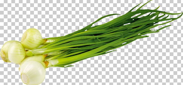 Onion Garlic Borscht Vegetable PNG, Clipart, Alliaceae, Allium, Borscht, Choy Sum, Cooking Free PNG Download