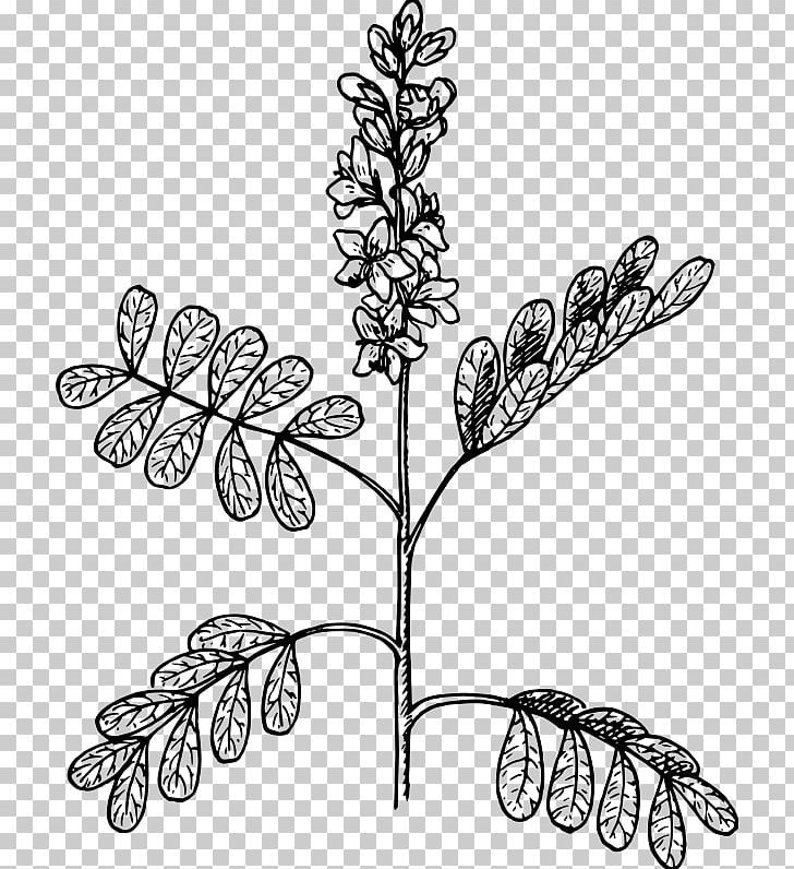 Twig Visual Arts Plant Stem Line Art PNG, Clipart, Art, Black And White, Branch, Drawing, Flora Free PNG Download