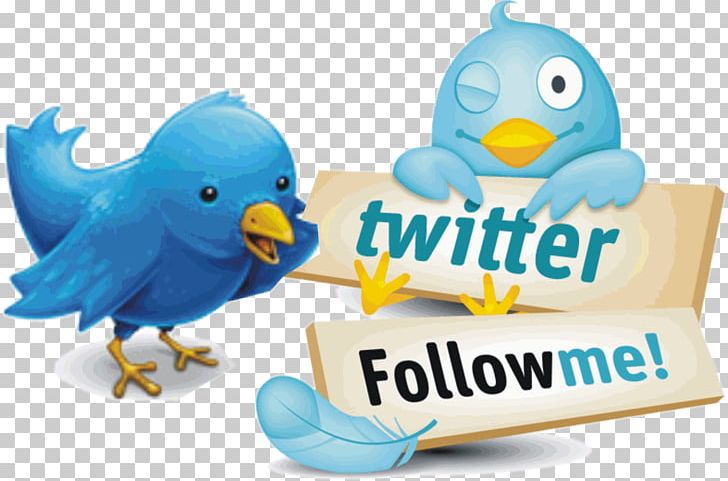 Twitter Graphics Photograph Like Button PNG, Clipart, Beak, Bird, Followers, Information, Jack Dorsey Free PNG Download