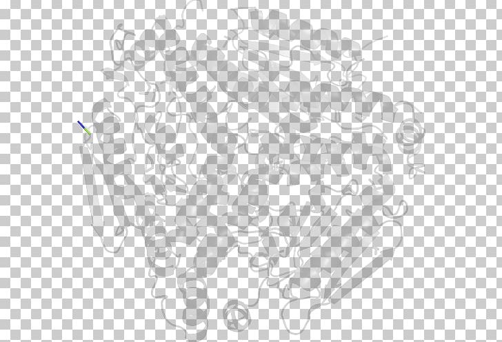White Point PNG, Clipart, Angle, Area, Art, Black And White, Chlamydomonas Free PNG Download