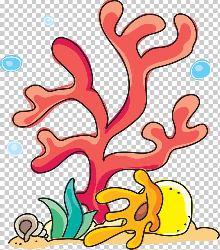 how to draw cartoon coral