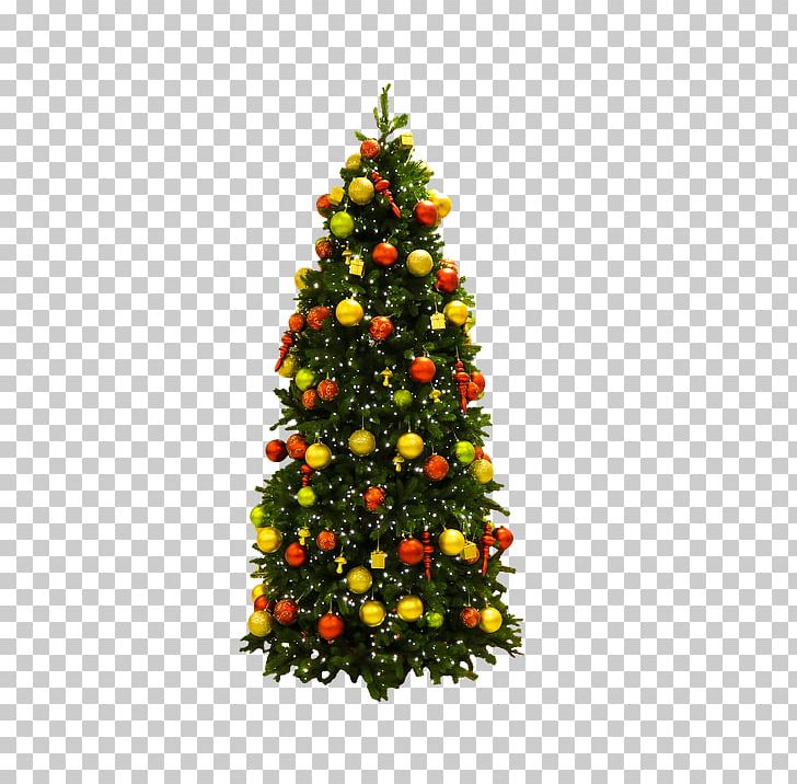 Christmas Tree Christmas Ornament Pentecost Christmas Lights PNG, Clipart, Child, Christmas, Christmas Card, Christmas Carol, Christmas Decoration Free PNG Download