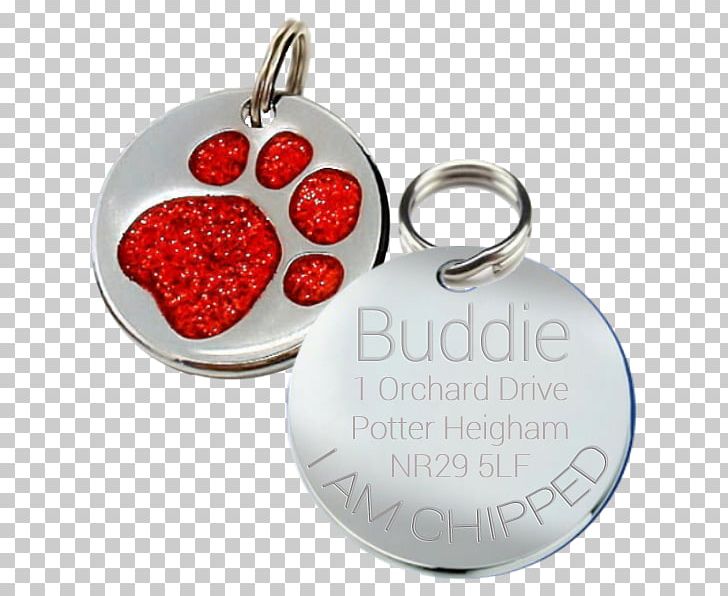 Dog Pet Tag Dingo Engraving Cat PNG, Clipart, Animals, Ball Chain, Cat, Dingo, Dog Free PNG Download