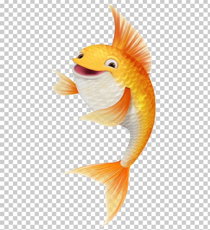 Goldfish Koi Siamese Fighting Fish PNG, Clipart, Animals, Beak, Bony Fish, Carp Fishing, Clip Art Free PNG Download