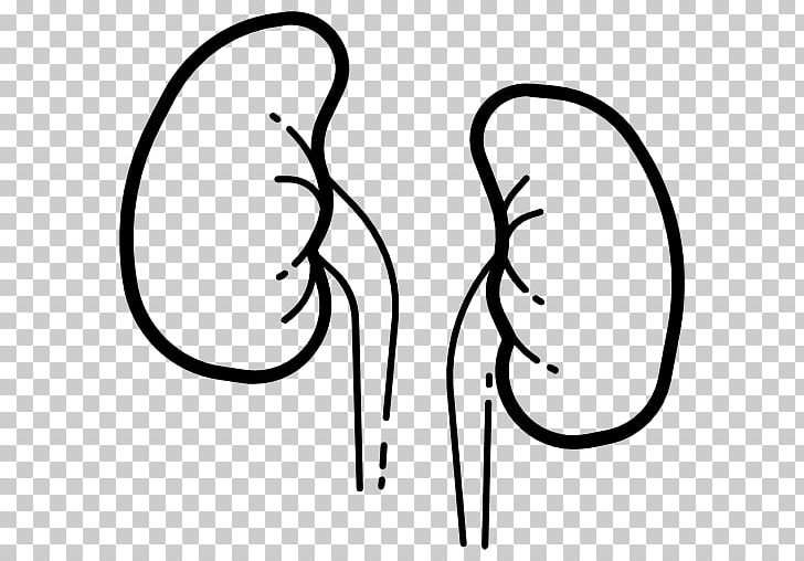 Kidney Computer Icons Medicine PNG, Clipart, Anatomy, Area, Art, Artwork, Black Free PNG Download