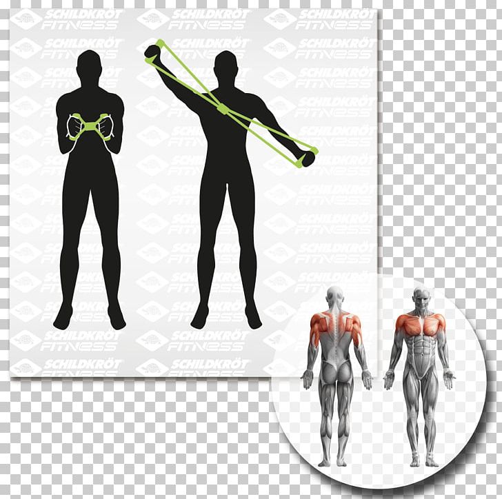 Myofascial Trigger Point Massage Therapy Muscle Human Body PNG, Clipart, Anatomy, Arm, Body, Fascia Training, Fitness Set Up With Free PNG Download