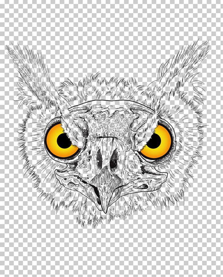 Owl Beak Eagle Cartoon PNG, Clipart, Animals, Animated Cartoon, Beak, Bird, Bird Of Prey Free PNG Download
