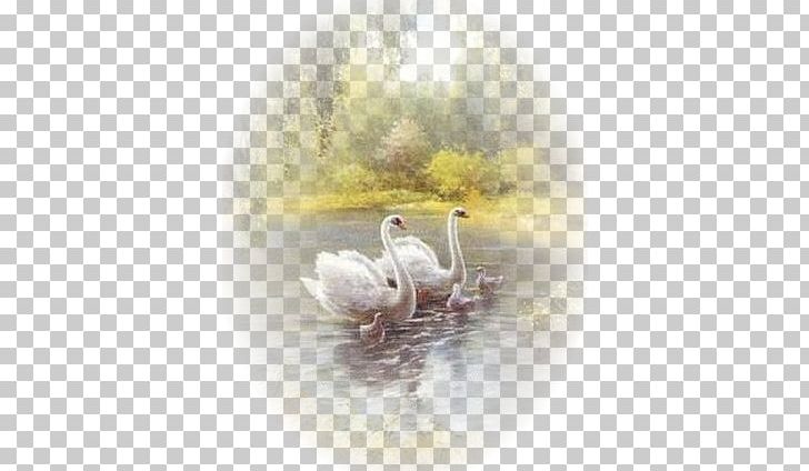 Bird Mute Swan Cygnini Art Painting PNG, Clipart, Animal, Animals, Art, Beak, Bird Free PNG Download