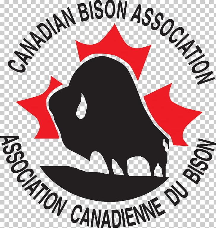 Bison Business Chief Executive Cambridge Sales PNG, Clipart, Animals, Area, Artwork, Association, Bison Free PNG Download