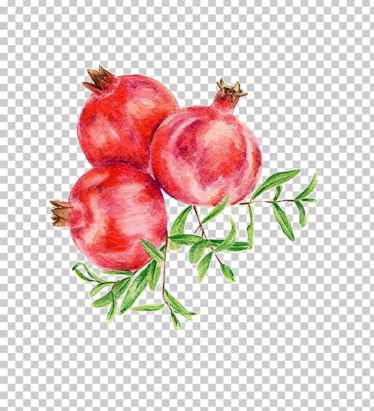 Pomegranate Fruit Food Pastry Rock Candy PNG, Clipart, Auglis, Branch, Cartoon, Cartoon Pomegranate, Decorative Free PNG Download