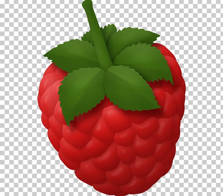 Strawberry Fruit Food Vegetable PNG, Clipart, Berry, Cranberry, Drawing, Drink, Flowerpot Free PNG Download