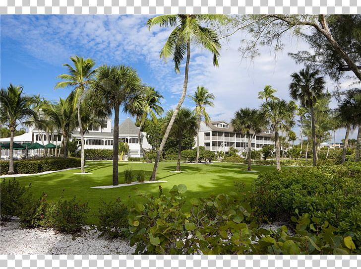 Captiva Island Sanibel Cottages Resort South Seas Island Resort Beach PNG, Clipart, Arecales, Beach, Captiva, Captiva Island, Casa Free PNG Download