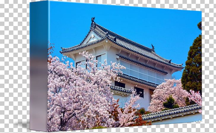 Cherry Blossom Facade Roof Historic Site Japan PNG, Clipart, Architecture, Blossom, Building, Cherry, Cherry Blossom Free PNG Download
