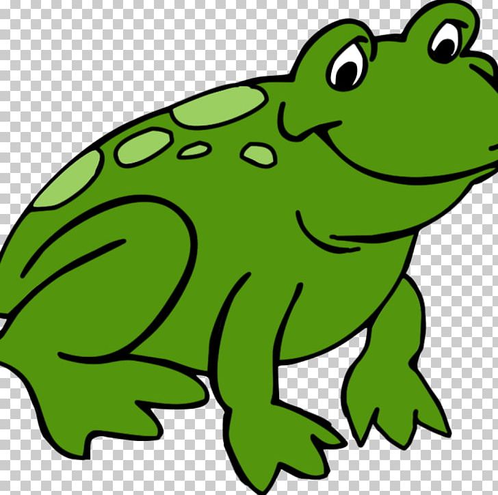 Frog Illustration Amphibians Portable Network Graphics PNG, Clipart, American Bullfrog, Amphibian, Amphibians, Animal Figure, Animals Free PNG Download