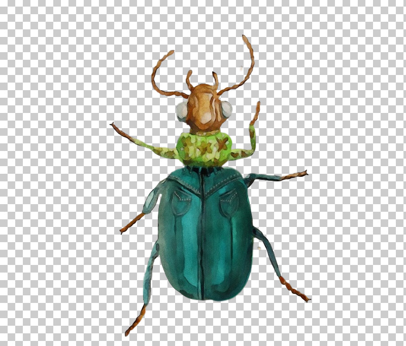 Insect Scarabs Pest Scarab PNG, Clipart, Insect, Paint, Pest, Scarab, Scarabs Free PNG Download