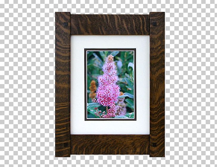 Frames Framing Mirror PNG, Clipart, Craft, Flora, Flower, Framing, Handicraft Free PNG Download