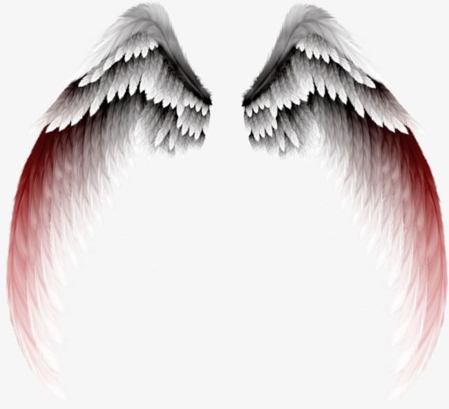 angel gradient photoshop free download