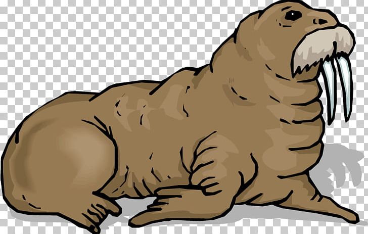 Walrus Free Content Animation PNG, Clipart, Baseball Walrus Cliparts, Bear, Big Cats, Blog, Carnivoran Free PNG Download