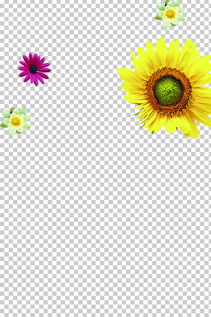Common Sunflower PNG, Clipart, Animation, Balloon Cartoon, Boy Cartoon, Cartoon, Cartoon Character Free PNG Download