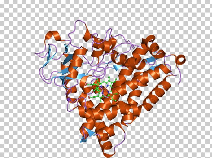 CYP3A4 Cytochrome P450 Enzyme CYP2C9 PNG, Clipart, Art, Crystal Structure, Cyp1a2, Cyp2c9, Cyp3a4 Free PNG Download