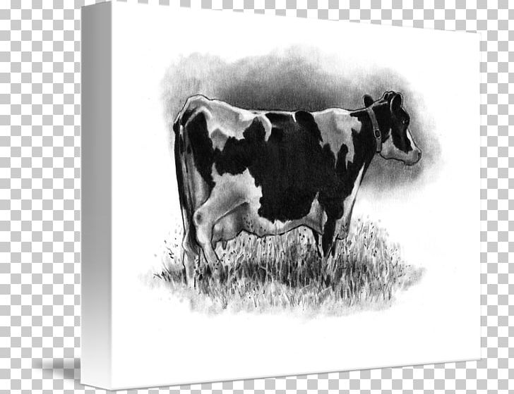 Dairy Cattle Holstein Friesian Cattle Taurine Cattle Drawing Canvas Print PNG, Clipart, Art, Black And White, Bull, Canvas, Canvas Print Free PNG Download