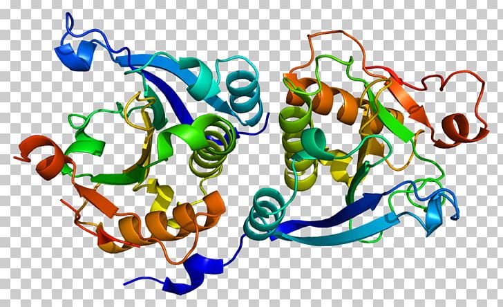 EIF4EBP1 Eukaryotic Initiation Factor EIF4G PNG, Clipart, Alpha Helix, Area, Art, Artwork, Doublestranded Rna Viruses Free PNG Download