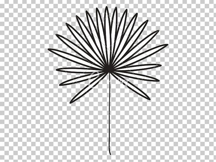 Graphics Illustration PNG, Clipart, Angle, Art, Black And White, Branch, Decorative Free PNG Download